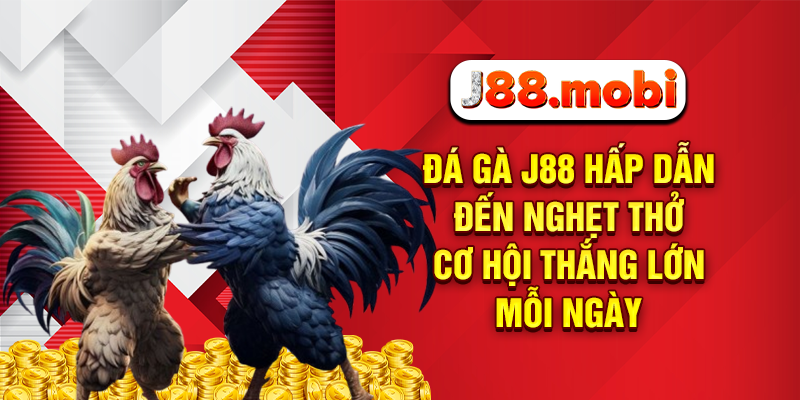 Đá gà J88