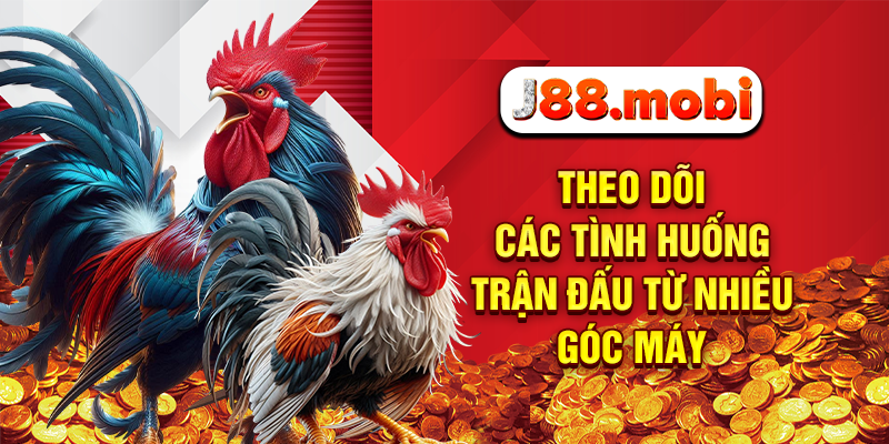 Đá Gà J88 Hấp Dẫn Đến Nghẹt Thở, Cơ Hội Thắng Lớn Mỗi Ngày Theo dõi các tình huống trận đấu từ nhiều góc máy
