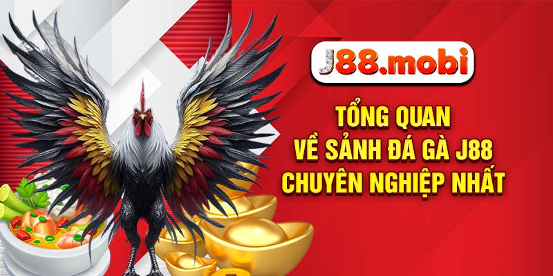 Đá Gà J88 Hấp Dẫn Đến Nghẹt Thở, Cơ Hội Thắng Lớn Mỗi Ngày Tổng quan về sảnh đá gà J88 chuyên nghiệp nhất